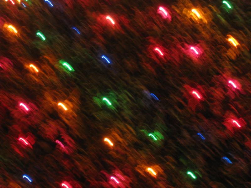 20121214 Christmas lights in holly - blur